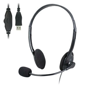 ヘッドセット(USBタイプ) 51374 USBヘッドセット USBヘッドフォン USBヘッドセット ヘッドフォン 価格 Web会議用USBヘッドセット