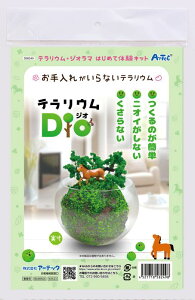 eEDIO 58249 eE Lbg WI} nChJ`[ CeAO[ GAvc KXe ϗtA  RP