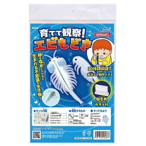楽天市場】生きた化石 エビの通販