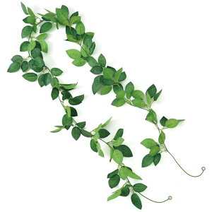 tFCNO[ K[h o t̂ 75219  K[h o   EFfBO CeA  DIY AW{ݑ Ǐ t