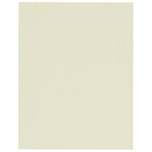 キャンバスボードSX F6 133046 油絵 アクリル絵の具 画材 キャンバスボード F6サイズ 絵画 スケッチ 初心者