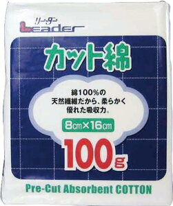 [_[Jbg100G(8cm×16cm) 52134 E ȋ K[[ ×p pp z Ȑi ~}pi qpi