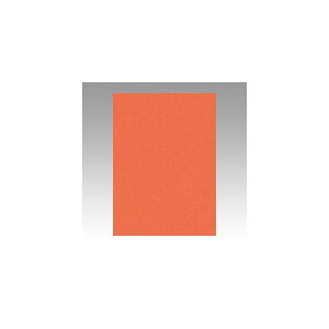 ebN@j[J[4100@@GO4NCR-213