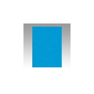 ebN@j[J[4100@@GO4NCR-216