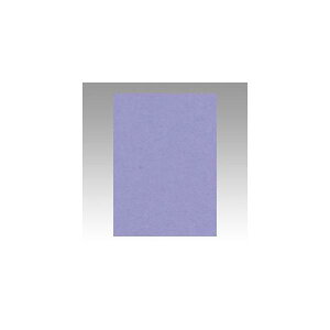 ebN@j[J[4100@ӂނ炳@GO4NCR-217