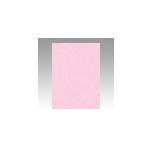 ebN@j[J[4100@@GO4NCR-218