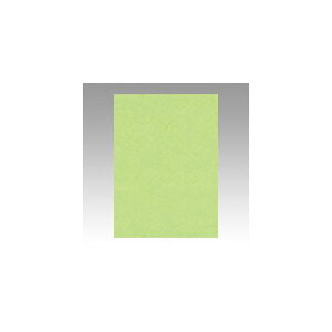 ebN@j[J[4100@킩@GO4NCR-243