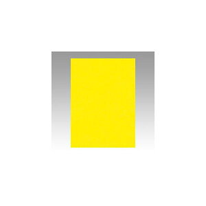 ebN@j[J[4100@@GO4NCR-319