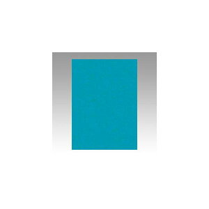 ebN@j[J[4100@@GO4NCR-326