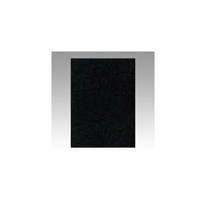 ebN@j[J[4100@@GO4NCR-418