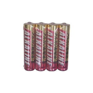 �O�H�d�@�@�A���J���P4�`4�{�p�b�N�@10�p�b�N���@LR03R/4SX10