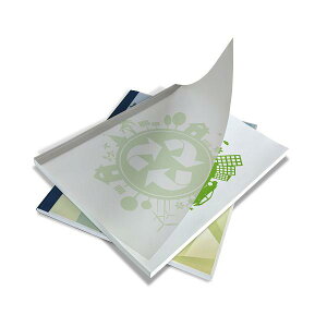 R}[X@ƂECOJo[zCgA4^e