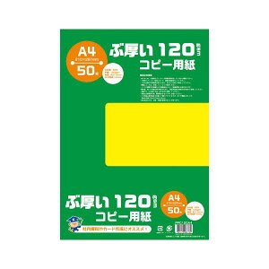 {m[g iLNg[j Ԍ120gsmRs[pA4PPC120A4