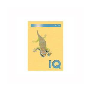 ɓoCIgbvJ[A4i500jBT502 S[h