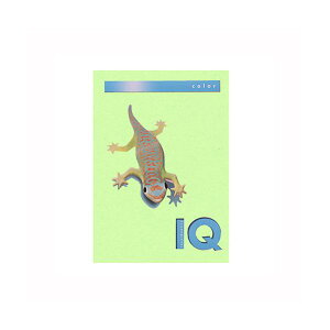 ɓoCIgbvJ[A4i500jBT506 ~fBAO[
