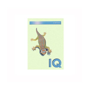 ɓoCIgbvJ[A4i500jBT505 O[