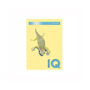 ɓoCIgbvJ[A4i250jBT703 CG[