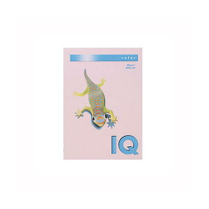 ɓoCIgbvJ[A4i500jBT531 t~S