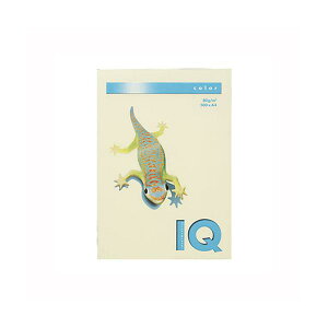 伊東屋バイオトップカラーA4(500枚入)BT530 バニラ