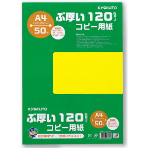 {m[gEɓm[g LNgE ԌRs[p@A4E120gsm PPC120A4