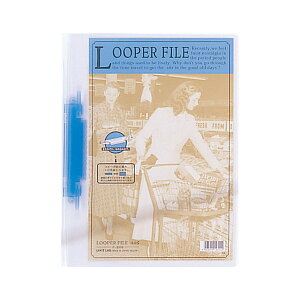 qgu [p[t@C A4ES iF-3006j