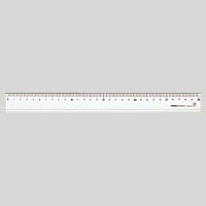 NE NEANK30cm iCR-RR103j