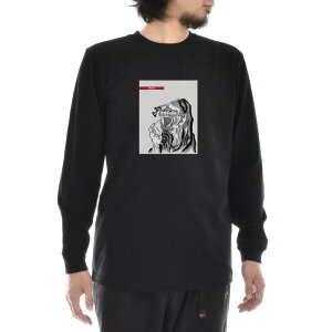 y A[gTVczk TVc DARUMA  _} B G Ct CY A[g  OX[u T Y fB[X 傫TCY rbNTCY  G  