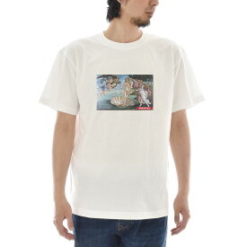 【半袖 アートTシャツ】サンドロ・ボッティチェッリ Tシャツ ヴィーナスの誕生 ビーナス ライフ イズ アート 半袖 ショートスリーブ メンズ レディース 大きいサイズ ビックサイズ おしゃれ 絵画 名画 ティーシャツ S M L XL XXL ホワイト 白 ブランド