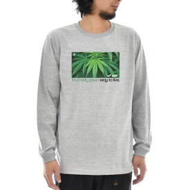 パロディー Tシャツ 大麻 大麻柄 マリファナ マリファナ柄 ボックス BOX 長袖Tシャツ ロンT ロングスリーブ メンズ レディース 大きいサイズ ビックサイズ 麻 植物 ガンジャ ウィード リーフ グリーン 緑 葉 ブランド 3L JUST ジャスト