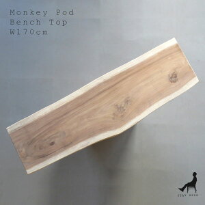 yEî݁zL[|bhC ꖇMonkeypod 170cmMP170B-D4x`̓V170cm 3l|s45`53cm