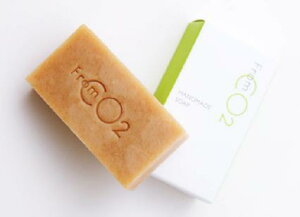 ytCO2nhCh\[vzfromco2 Y_΂i80ggjY_5ނ tFCVICAn`~c ቷł ԂĒJɍꂽ YY_Ό 