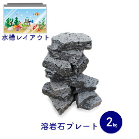 【全品10％OFF】11日1時59分まで 水槽用天然石 ボルケーノロック 2kg サイズミックス 溶岩石プレート アクアリウム 石 オブジェ レイアウト 天然石 水槽石 オシャレ 水槽用品 アクアリウム用品 岩 水槽岩 装飾 飾り石 水槽 熱帯魚 淡水魚 金魚 メダカ アクアリウムロック