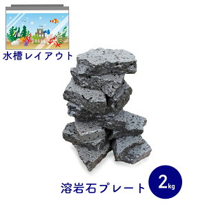 pVR {P[mbN 2kg TCY~bNX n΃v[g ANAE  IuWF CAEg VR  IV pi ANAEpi      M