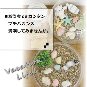 э 500g ѐ 3`5mm ɋ߂^Cv ѐ΍ 荻 ύ ύ {gE Aؔ 荻 P   ߍ ANAE bN VR    