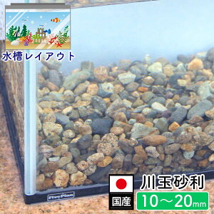 ANAE    p ꍻ Y ʍ 10mm`20mm ̐ CAEg CAEgXg[