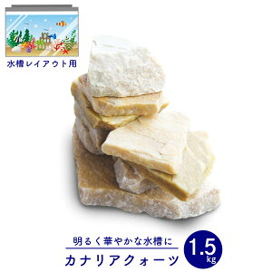 JiANH[c 1.5kg ANAE CAEg   IuWF ̃CAEg ̐ 邢 CG[ 
