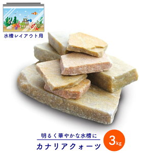 JiANH[c 3kg ANAE IuWF  IuWF ANAE CAEg  ̃CAEg CG[ 邢  Y