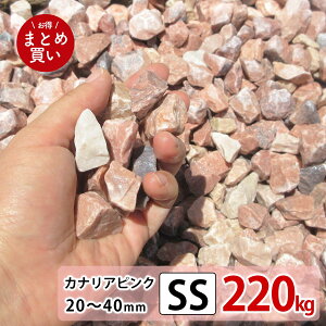  sN SS 220kgi22kgx10܁j  Ӑ hV[g̏ ~  ύ G΍   덻 ϐ ԏ h diy bNK[f  K[fjO NbV