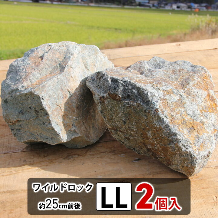 楽天市場】庭石 大きめ ロックガーデン 石 割栗石 ワイルドロック2L 2 