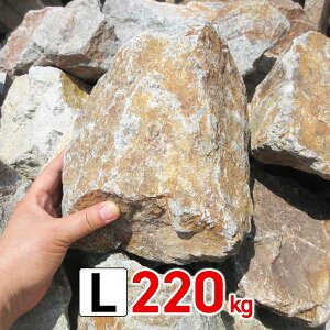  傫 bNK[f  I ChbN L 220kg (22kgx10) O[ uE  K[fjO K[fbN NbVbN hCK[f I ݂    ~