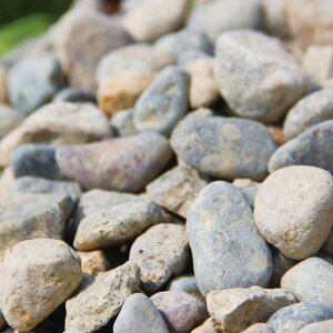 �_�N�[�|��12/25���^ST�N���t�g �y���ꂢ�Ȑ삩�炨���肵�܂��z��Ηp�̐썻�� 4.5kg �T�C�Y10�`20mm ���Y �V�R �~�� ���� ���� ��� �A�v���[�`�� �~�������ȒP �h���΍�� ����肶���h�Ƃ�