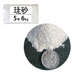 ] 5 6kg ^ޗ 鍻    h  ΍     Ηp h |  ؉ 뉀 K[fjOpi K[f K[fjO y؎  ANAE A