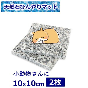 _10OFFN[|^VR Ђ}bg 10x10cm 2Zbg  ₽ 􂦂 v VR ybg  L   ˂ Ck lR ^ xbh p   N[xbh N