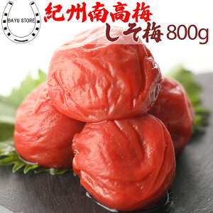 ~ 󂠂  ~ 10% j Mtg 2025  IB썂~ 800g (400g×2) yp IB썂~gp iȂς̂~z Е т̂ ٓ h~ Ԃ