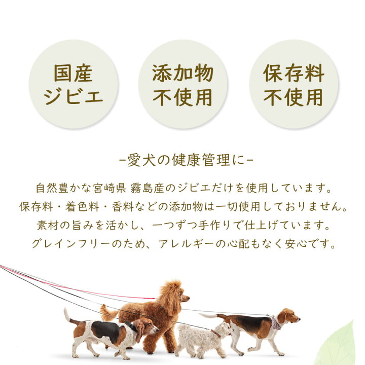 ボーンマロー 粗割 100g入り 無添加 無着色 鹿の骨 犬用おやつ 保存料不使用
