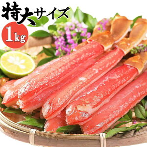 󂠂 I YCKj ނg j 1kg |[V  8-10L (16-20{)  YCKj VNȑDⓀ I YCI hg ɂ I Ԃԗp  킢I Jj j 