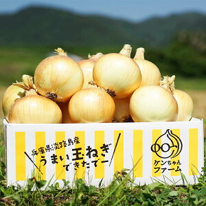 淡路島 玉ねぎ 10kgの人気商品 通販 価格比較 価格 Com 淡路島 玉ねぎ 10kgの人気商品 通販 価格比較 価格 Com