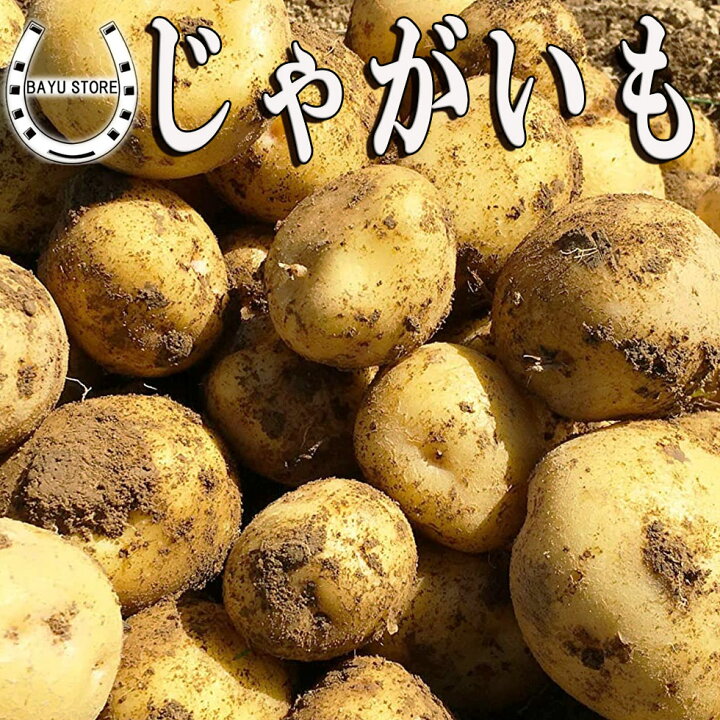 楽天市場】国産 じゃがいも 5kg 品種はお任せ 馬鈴薯 ジャガイモ 大 