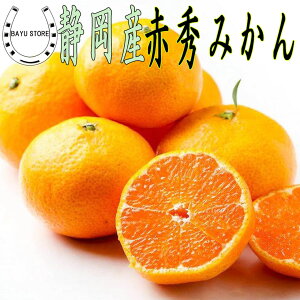 É lY ԏG ݂ y V z S-2L 2kg x12ȏ Â݂ _Ƃ{Cł݂ x݂ p ƒp (2kg) Mtg 蕨  ݂ v[g a 