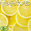 レモン 冷凍 輪切り ＼レモンランキング1位獲得!／ 有機 JAS シチリアレモン 500g×2パック (1kg) 農薬不使用 防腐剤 …